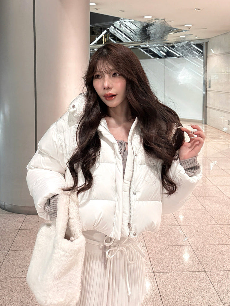 snap0242