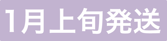 納期アイコン